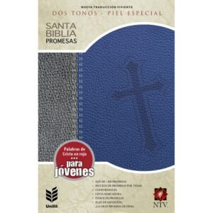 NTV Biblia de Promesas Juvenil Gris-Azul