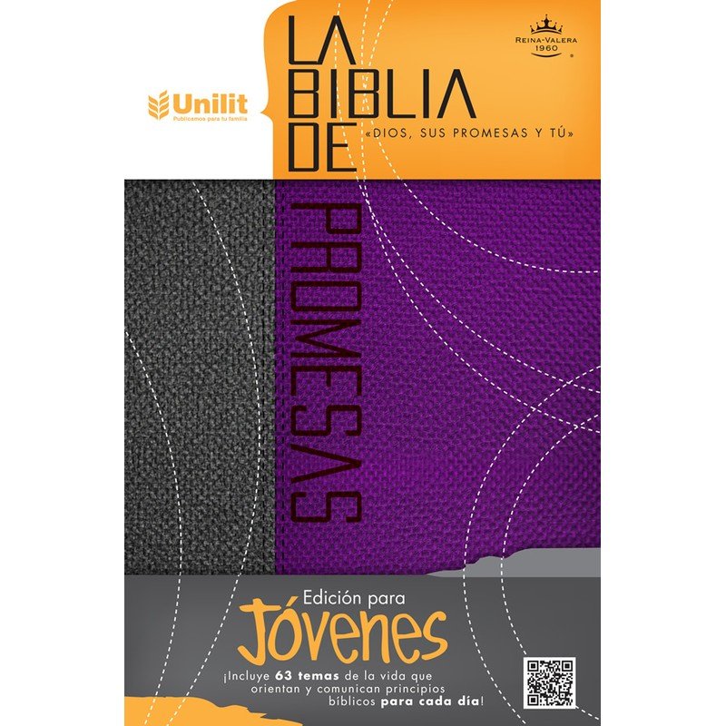 RV60 Biblia de promesas jóvenes dos tonos, Gris-Púrpura 1 RV60 Biblia de promesas jóvenes dos tonos, Gris-Púrpura