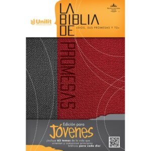 RV60 Biblia de promesas jóvenes dos tonos, Gris-Rojo