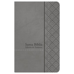 Biblia RVR 1960 Promesas Letra Grande Tamaño Manual Gris Símil Piel