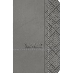 Biblia RVR 1960 Letra Grande Tamaño Manual Gris Símil Piel