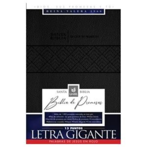 Biblia de Promesas RVR60 Letra Gigante Negra con Cierre