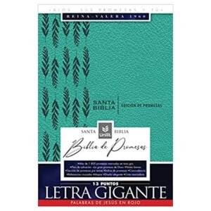 BIBLIA RVR60 PROMESAS LG TURQUESA CIERRE 13PTS
