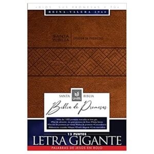 Biblia de Promesas RVR60/Letra Gigante/Imitación Piel/Cafe
