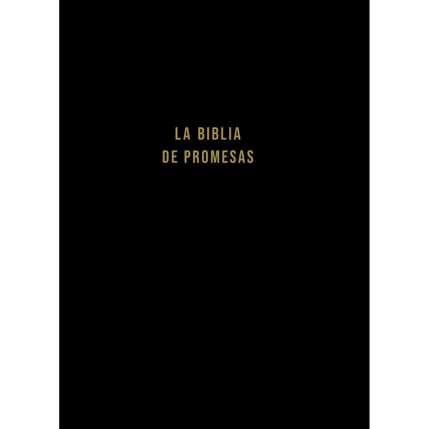 Biblia De Promesas NVI/Tapa dura Negra 1 Biblia De Promesas NVI/Tapa dura Negra