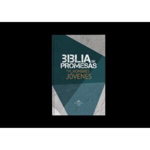 Biblia RVR60 Edicion Promesas/ Hombres Jovenes Azul-Gris TD