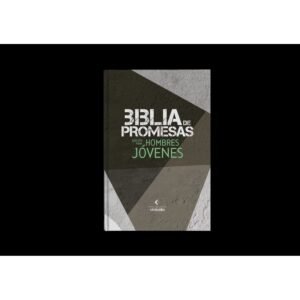 Biblia NTV Edicion Promesas/ Hombres Jovenes Negro-Gris TD