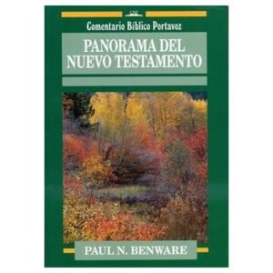 Panorama del Nuevo Testamento / Libro