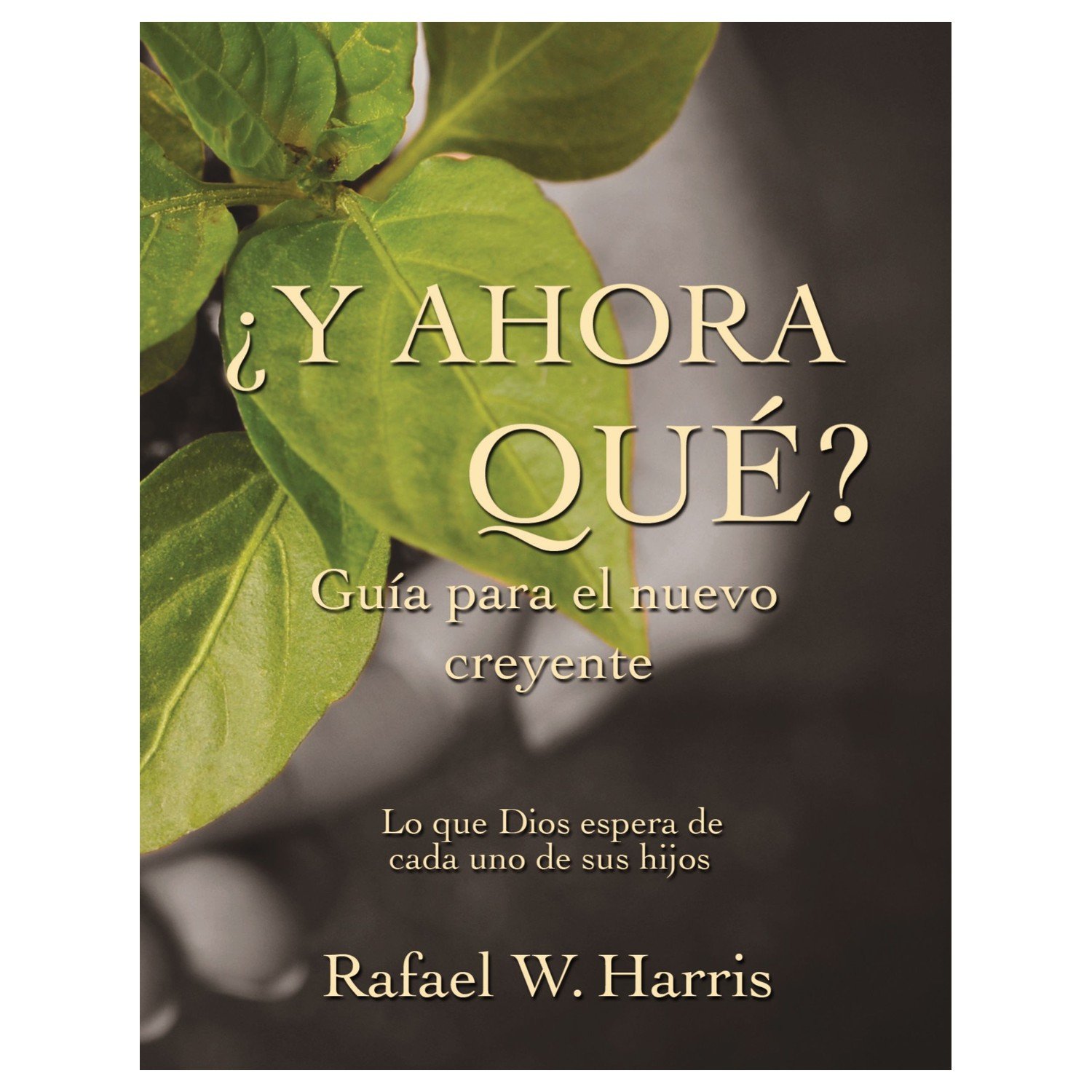 Y Ahora Que 1 Y Ahora Que