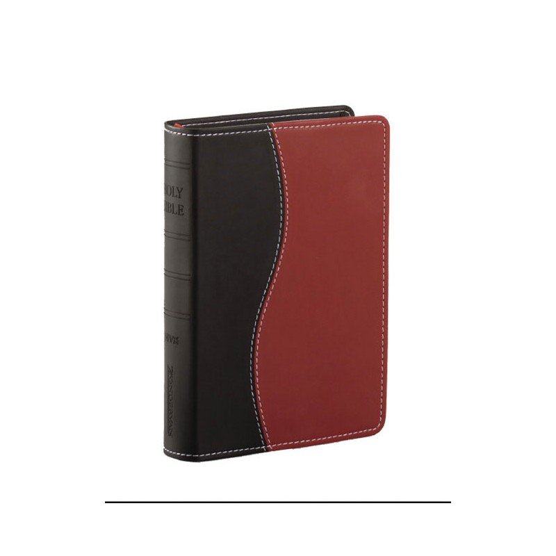 Biblia De Estudio/RVR/Serie 50/Negro-Rojo 1 Biblia De Estudio/RVR/Serie 50/Negro-Rojo