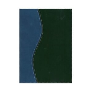 Biblia De Estudio/RVR/Serie 50/Azul-Negro