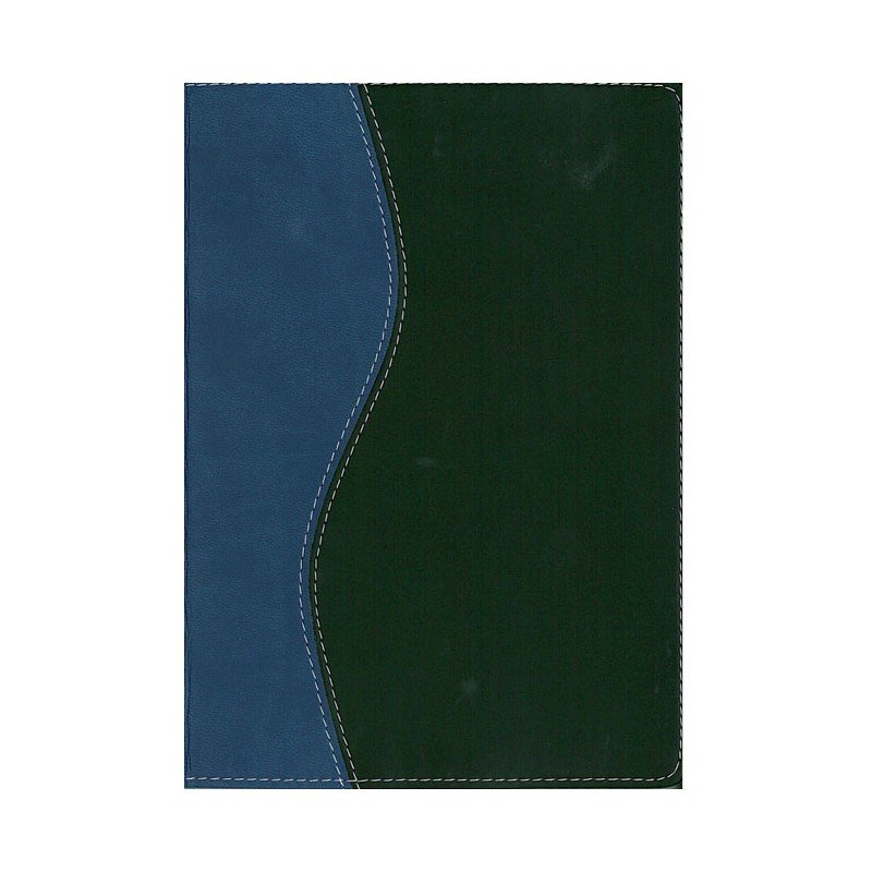 Biblia De Estudio/RVR/Serie 50/Azul-Negro 1 Biblia De Estudio/RVR/Serie 50/Azul-Negro