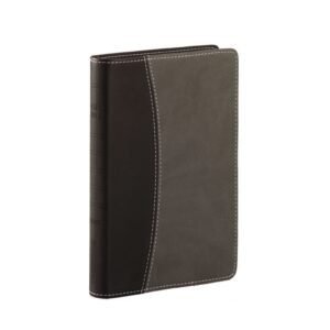 Biblia De Estudio/RVR/Vida Plena/Negro-Gris