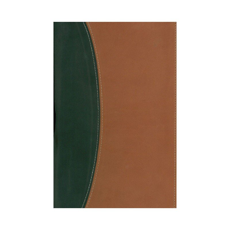 Biblia Thompson/RVR/Referencias/Piel Italiana/Negro-Cafe 1 Biblia Thompson/RVR/Referencias/Piel Italiana/Negro-Cafe