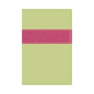 Biblia/NVI/Premios Y Regalos/Verde-Rosado