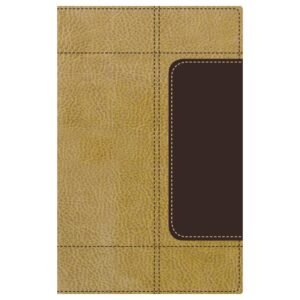 Biblia De Estudio/NVI/Vida Plena/Personal/Marron-Amarillo