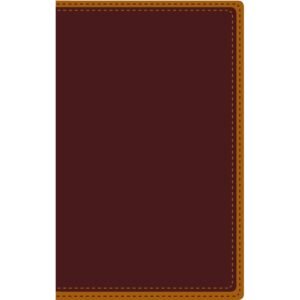 Biblia/NVI/Letra Grande/Personal/Piel/ Dos Tonos