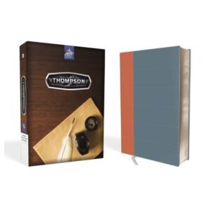 RV60 Biblia de estudio Thompson símil piel