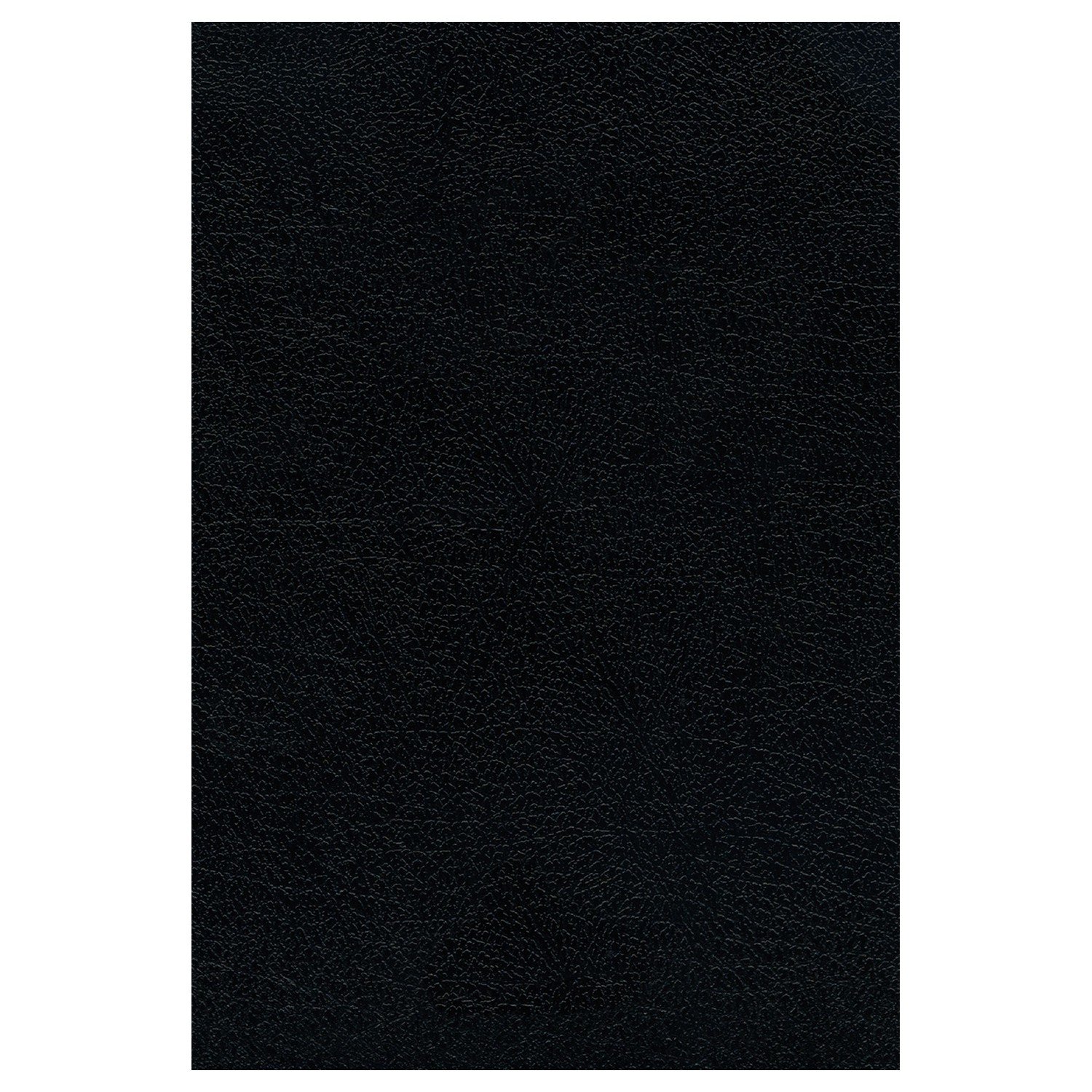 Biblia RVR 1960 Ultrafina Letra Grande Piel Fabricada Negro Interior a Dos Colores 1 Biblia RVR 1960 Ultrafina Letra Grande Piel Fabricada Negro Interior a Dos Colores