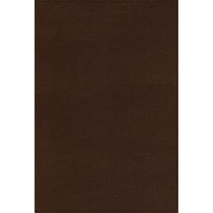 RVR Biblia de Referencia Thompson Actualizada y Ampliada