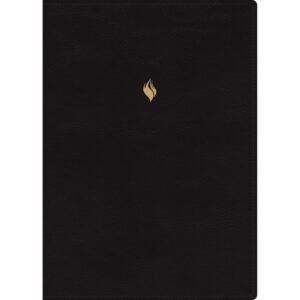 Biblia RVR 1960 de Estudio de la Vida Plena Edición Clásica Piel Negro con Índice y Cierre