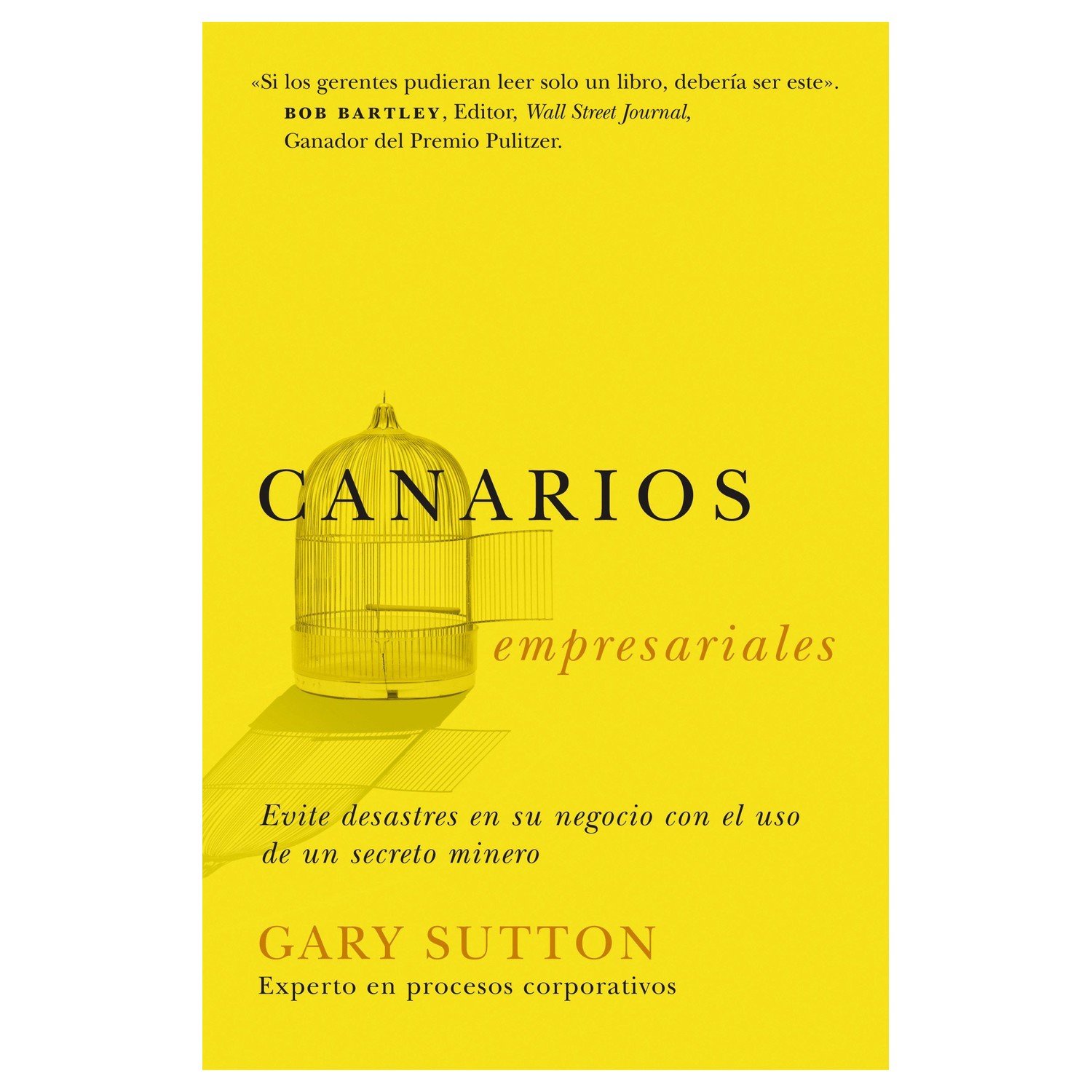 Canarios Empresariales 1 Canarios Empresariales