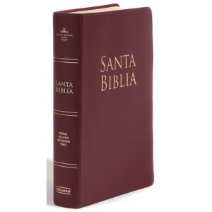 RV60 Biblia letra grande tamaño manual, borgoña vinilo, con forro y cierre