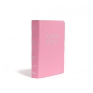 RVR60 - BIBLIA LETRA GRANDE PERSONALIZADA - ROSADO - TD - B&