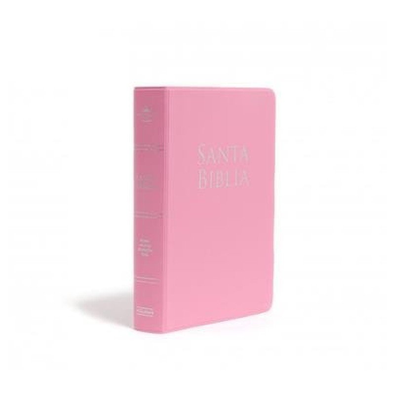 RVR60 - BIBLIA LETRA GRANDE PERSONALIZADA - ROSADO - TD - B& 1 RVR60 - BIBLIA LETRA GRANDE PERSONALIZADA - ROSADO - TD - B&