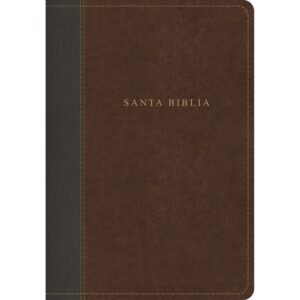 Biblia RVR 1960 Letra Grande Manual Tierra Santa Negro Caoba