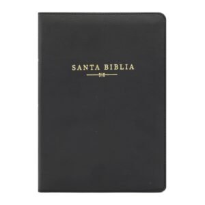 Biblia Letra Grande Tamaño Manual Holman