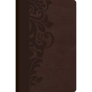 RV60 Biblia de Estudio para Mujeres, chocolate símil piel