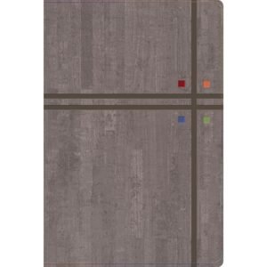 Biblia de estudio Arco Iris gris RVR60