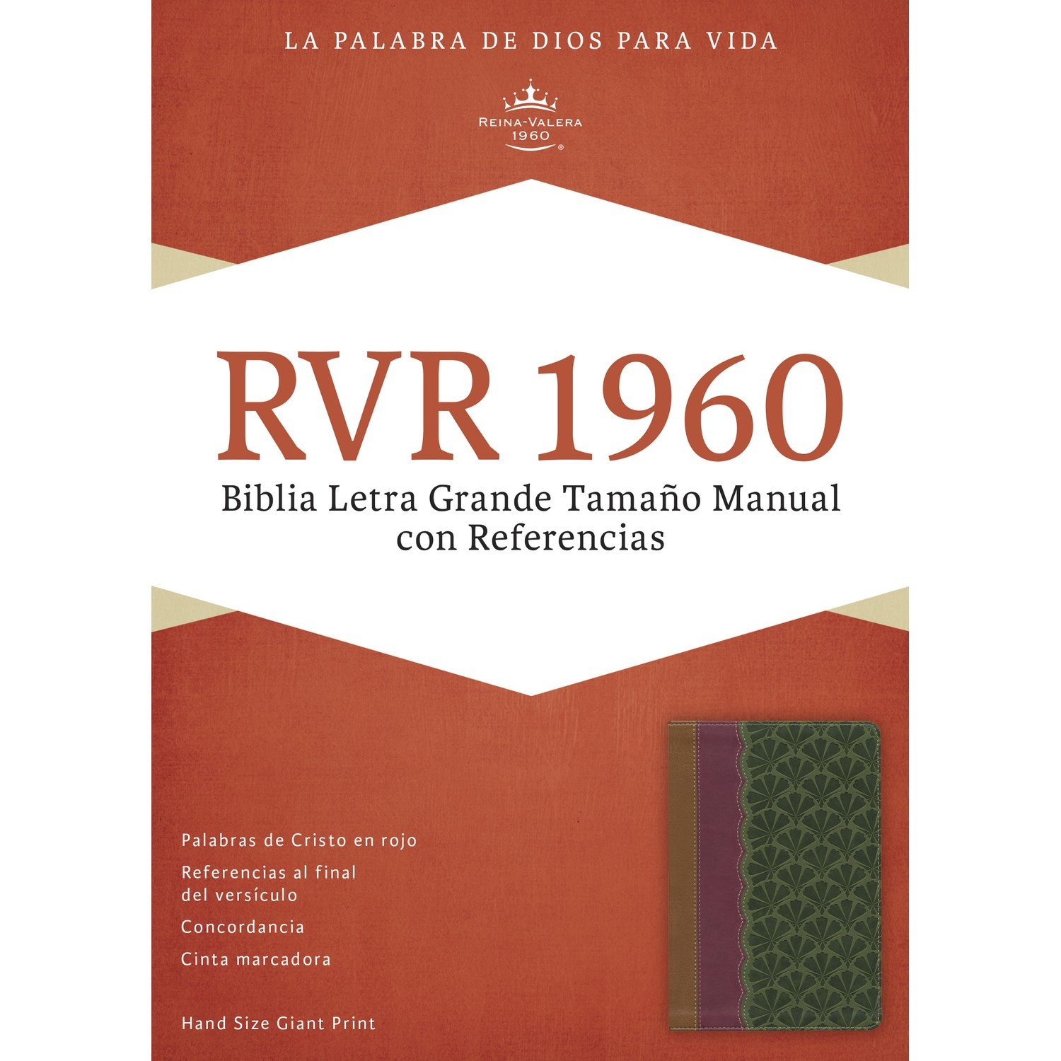 Biblia RVR 1960 Letra Grande Manual Ciruela y Verde Jade 1 Biblia RVR 1960 Letra Grande Manual Ciruela y Verde Jade