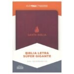 RV60 Biblia Letra Súper Gi Marron piel