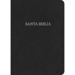RVR 1960 Biblia Letra Grande Tamano Manual, negro piel fabricada