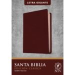 Biblia NTV/Edicion Clasica/Sentipiel/Vino Tinto