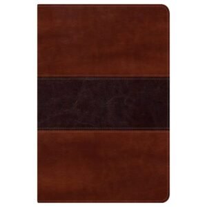 RV60 Biblia del Pescador Caoba símil piel letra grande/BH