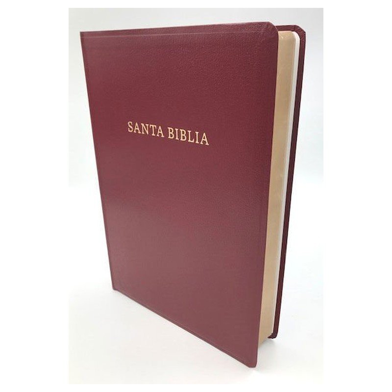 RVR 1960 Biblia Letra Super Gigante con Referencias Borgoña Imitacion piel 1 RVR 1960 Biblia Letra Super Gigante con Referencias Borgoña Imitacion piel