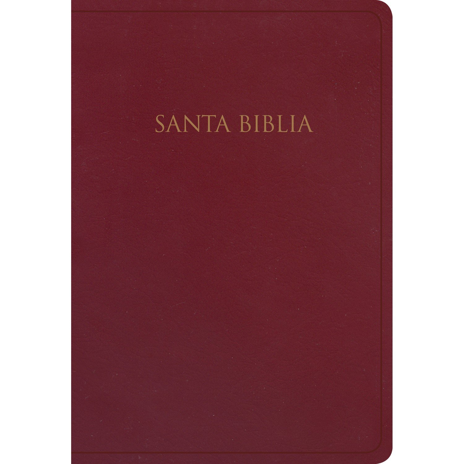 Biblia RVR 1960 Regalos y Premios Borgona Imitación Piel 1 Biblia RVR 1960 Regalos y Premios Borgona Imitación Piel