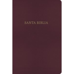 RV60/KJV Biblia Bilingüe Borgoña/Simil piel/BH