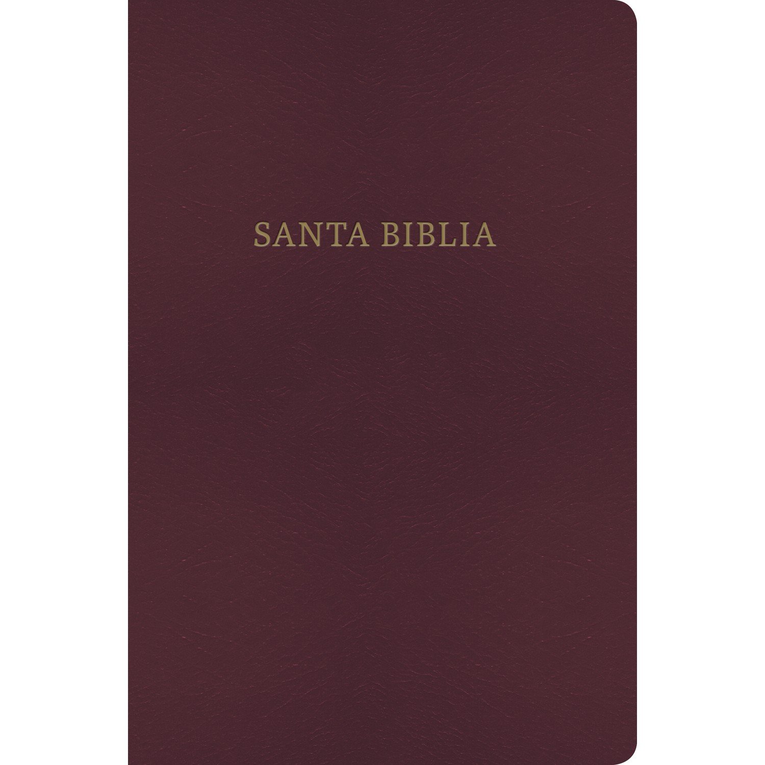 RV60/KJV Biblia Bilingüe Borgoña/Simil piel/BH 1 RV60/KJV Biblia Bilingüe Borgoña/Simil piel/BH