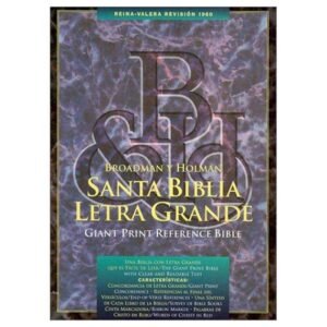 Biblia/RVR/Letra Grande/Referencias/Piel Fabricada/Negro