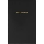 RV 1909 Biblia clásica imitación piel