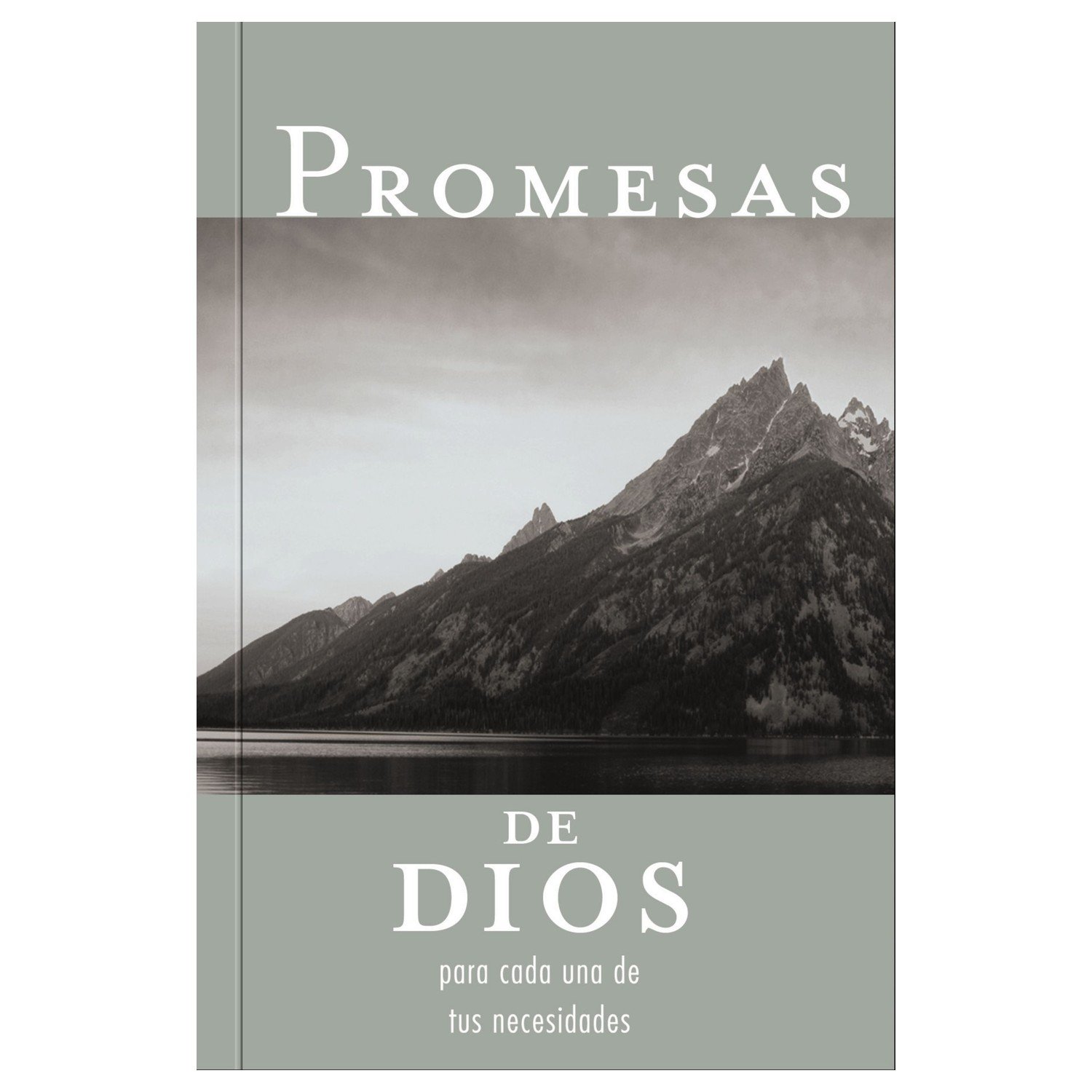 Promesas de Dios para Cada una de tus Necesidades 1 Promesas de Dios para Cada una de tus Necesidades