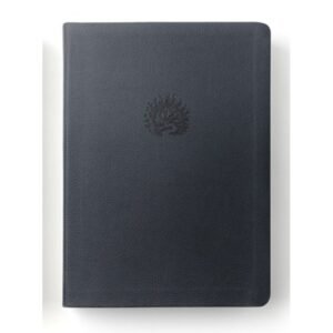 Biblia de Estudio Reforma Simil Piel Azul Marino