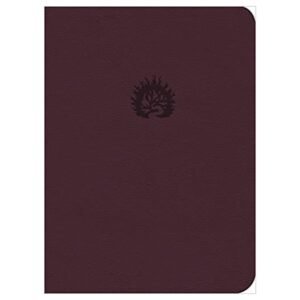 La Reforma La Biblia de Estudio color ciruela