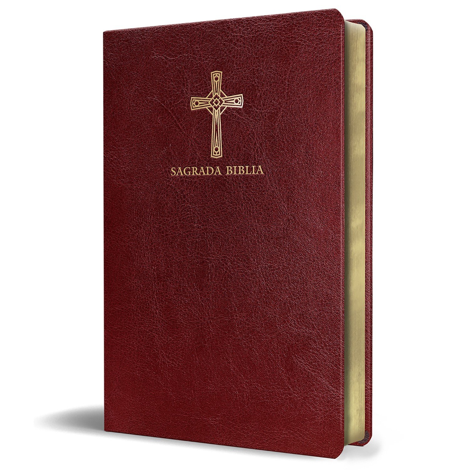 BC Biblia católica/ Edi. compacta piel vino zip 1 BC Biblia católica/ Edi. compacta piel vino zip