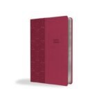 Biblia RVR 1909/Letra Super Gigante/Imitación Piel/Fucsia