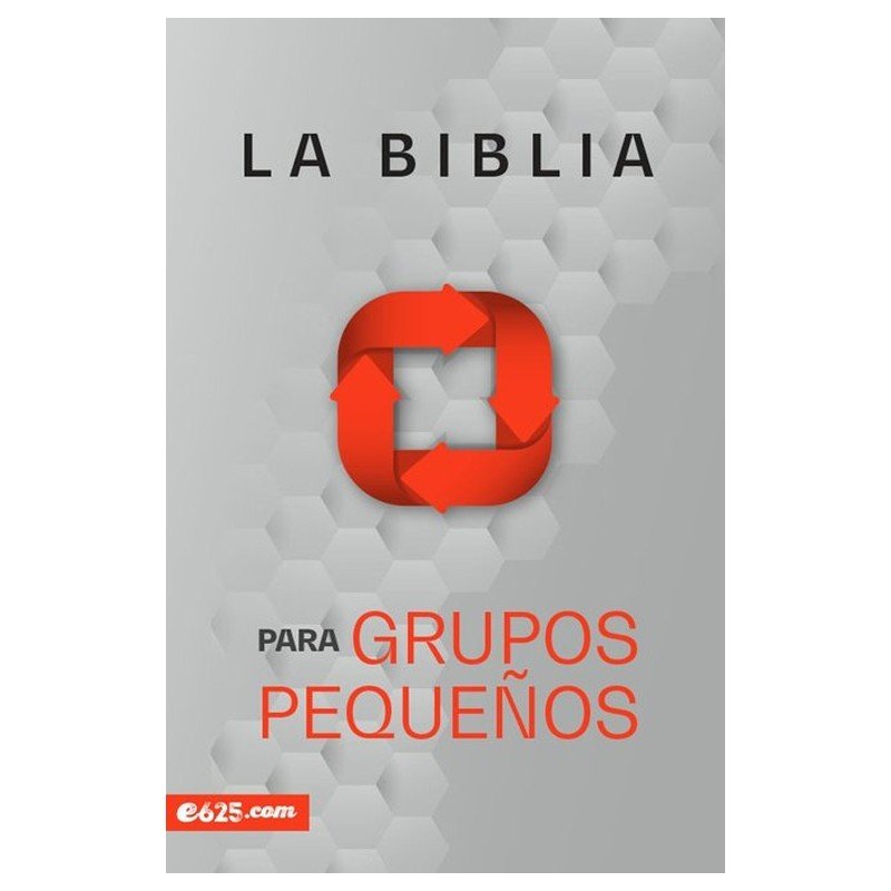 Biblia Para Grupos Pequeńos/NBV/Rustica 1 Biblia Para Grupos Pequeńos/NBV/Rustica